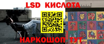 PSILOCYBIN Можга