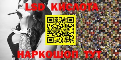 PSILOCYBIN Можга