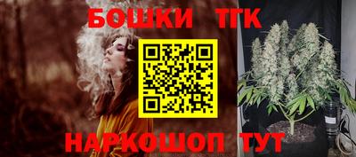 PSILOCYBIN Можга