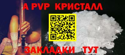 PSILOCYBIN Можга